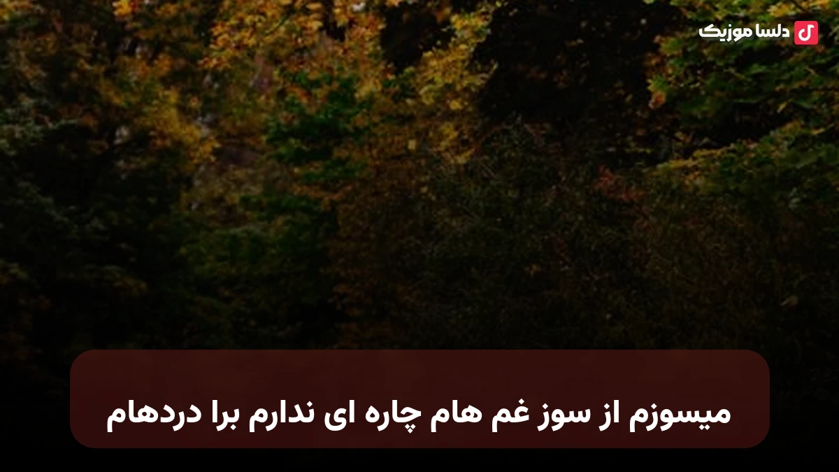 میسوزم از سوز غم هام چاره ای ندارم برا دردهام از سهراب ابوترابی
